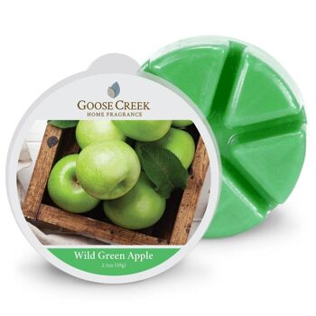 Wild Green Apple Goose Creek Candle®Cire fondue 1