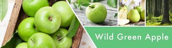 Wild Green Apple Goose Creek Candle®Cire fondue 2