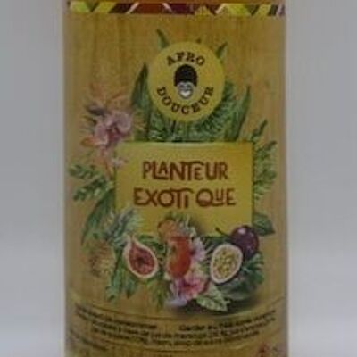 AFRO PUNCH PLANTER