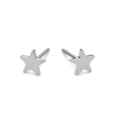 Stainless steel star ear studs