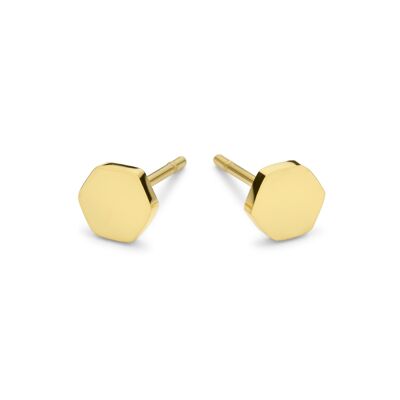 Gold ion plated stainless steel hexagon ear studs