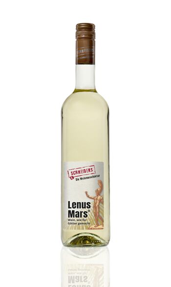 2020 Lenus Mars® sec 2