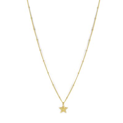 CO88 necklace with star hammered charm 40+5cm ipg