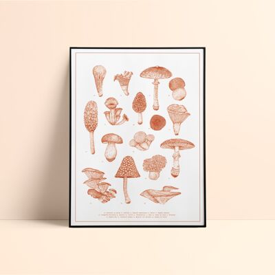 Mushrooms Screenprint / 30x40cm - Orange