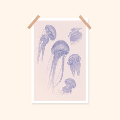 Jellyfish poster / 20x30cm