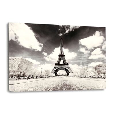 Bianco d'inverno di Parigi - Torre Eiffel