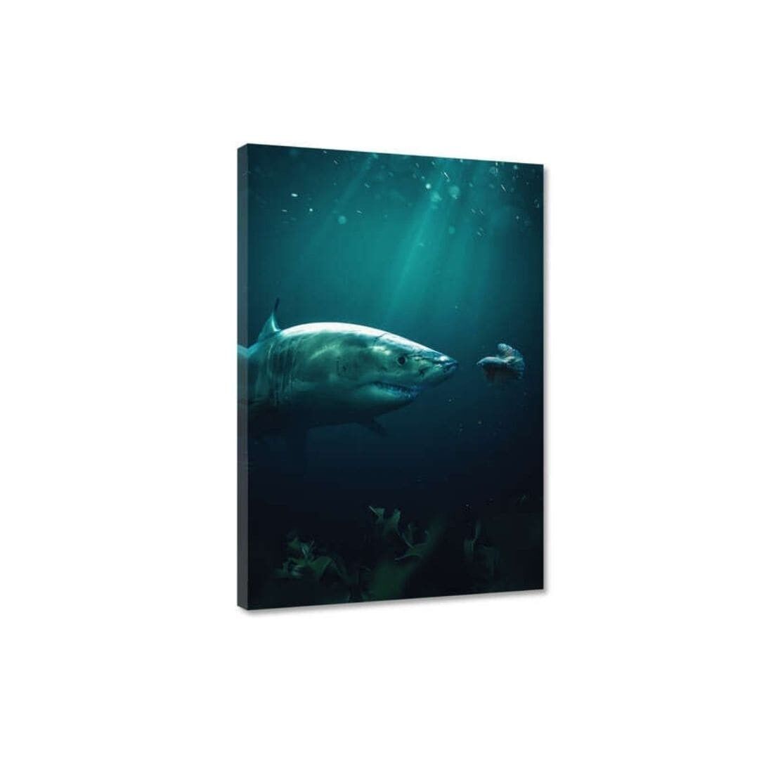 Tiburón conoce a Betta