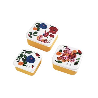 SET OF 3 LUNCH BOX HIBISCUS