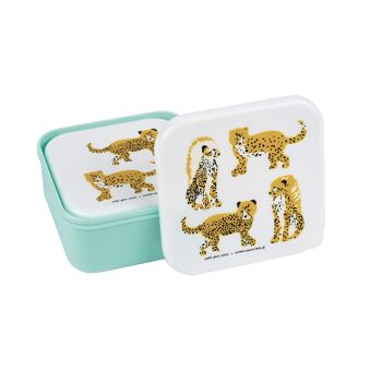 SET DE 3 LUNCH BOX LES JAGUARS 2