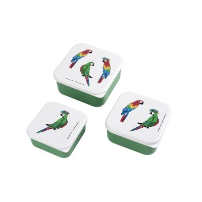 SET OF 3 LUNCH BOXES THE PARROTS