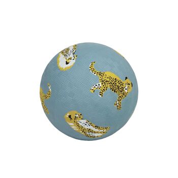 PETIT BALLON LES JAGUARS 1