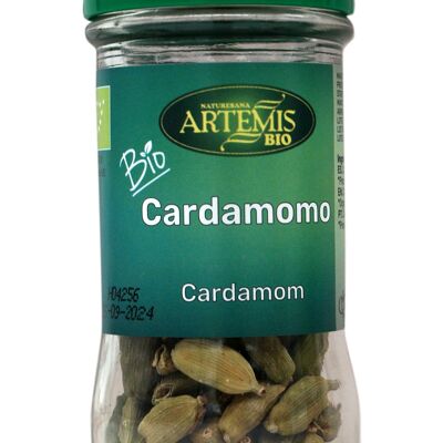 Cardamomo