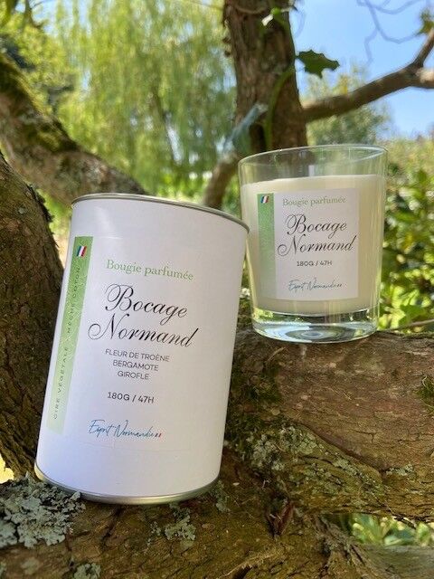 Bocage-Kerze aus der Normandie