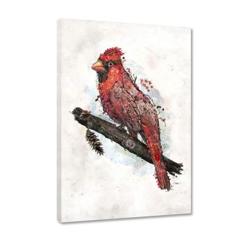 cardinal 1