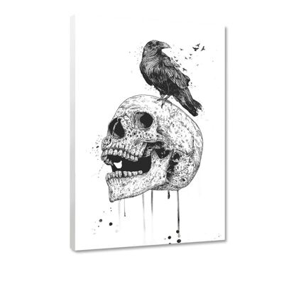 The Skull b/w