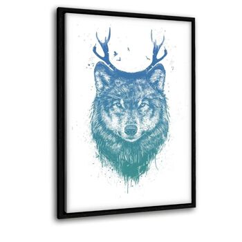 loup cerf 6