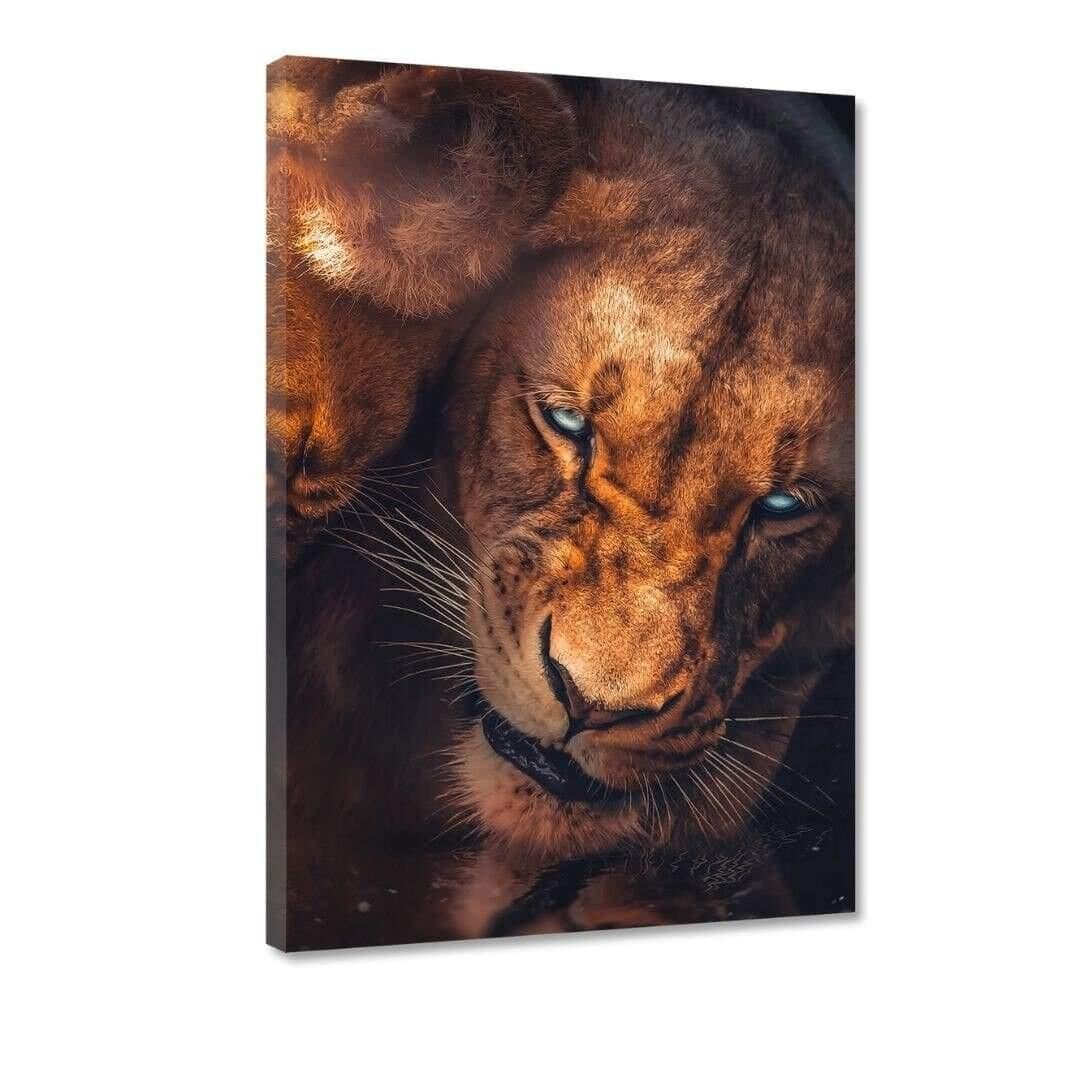 Amore incondizionato