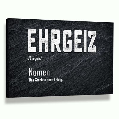 Definition des Ehrgeiz