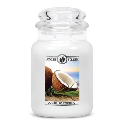Goose Creek Candle® Beruhigende Kokosnuss, großes Glas