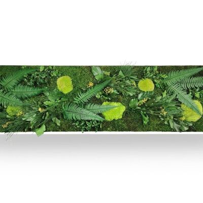 Quadro vegetale Eleganza verde 40x140