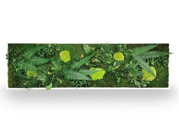 Tableau végétal Green Elegance 40x140 1
