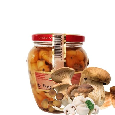 Gemischte Champignons geschnitten mit Steinpilzen in Olivenöl