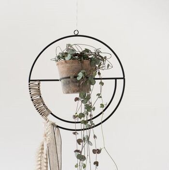 Pendulum pour plante 2