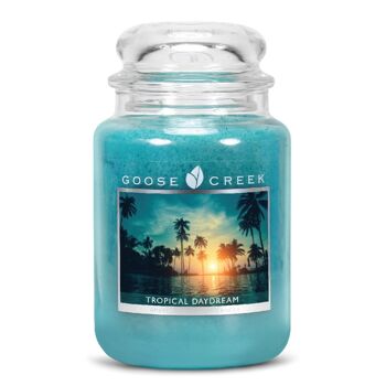 Rêverie tropicale grande Goose Creek Candle® 1