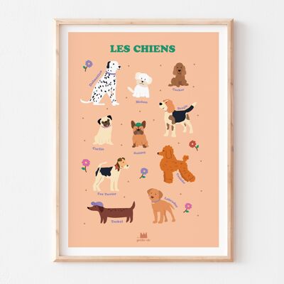 Affiche pédagogique - décoration enfant - Les chiens