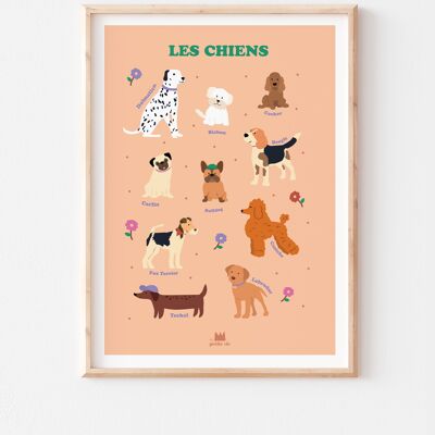 Affiche pédagogique - décoration enfant - Les chiens