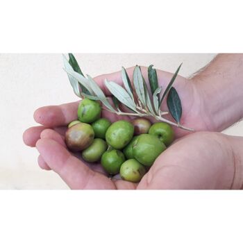 Huile d'olive extra vierge biologique-1 4