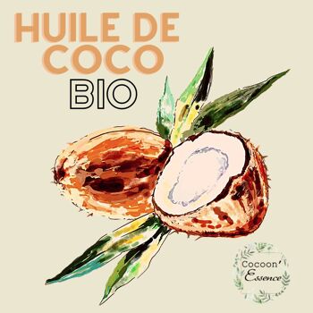Huile de Coco Biologique Cocoon'Essence - Format Cabine 1 L - certifiée Bio Cosmos - Vegan - 100% pure et Bio 1