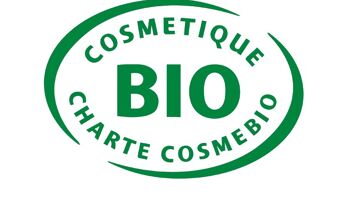 Beurre de Karité Biologique Cocoon'Essence - Format Cabine 1 kg - certifié Bio Cosmos - Vegan - 100% pur et Bio 2