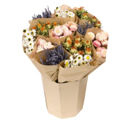 Dried flowers, 12 bunches of colors