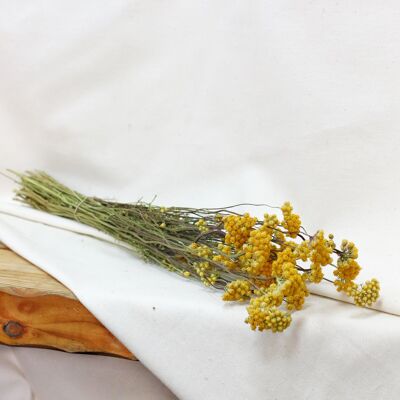 Mazzo di fiori secchi - Lona giallo