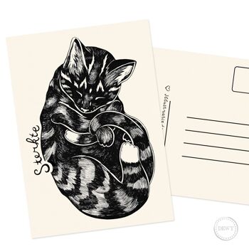 Carte de condoléances A6 avec chat 1