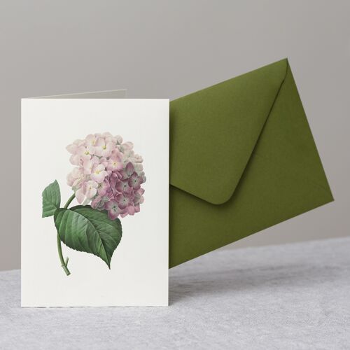 Hydrangea Flower Greeting Card+Envelope