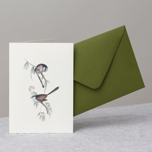 Long-tailed Tits Greeting Card+Envelope