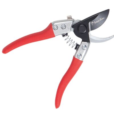 Small secateurs