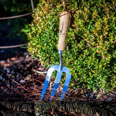 Flower and weed fork