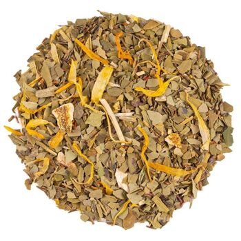 Maté Orange Sanguine Bio