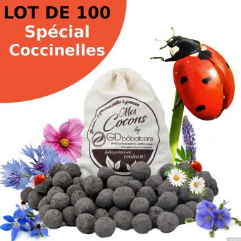 100 Bombes à graines pour Coccinelles dans son joli sac en coton bio 1