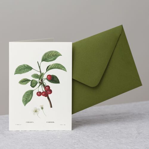 Cherries Greeting Card+Envelope