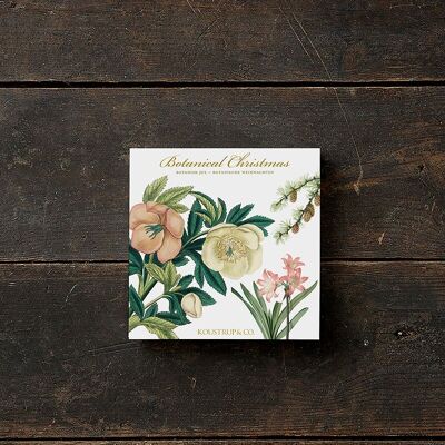 Square Cardfolder - Botanical Christmas 8 cards w/envelopes