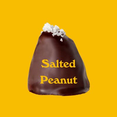 Bio-Dattelpralinen: Salted Peanut