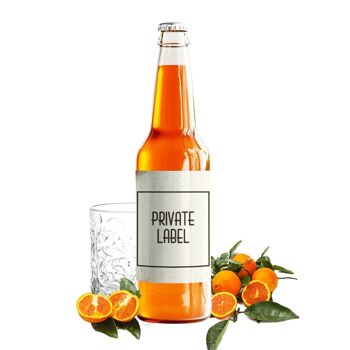 Soda à l'orange - MARQUE PRIVÉE - 0,25 ml 2