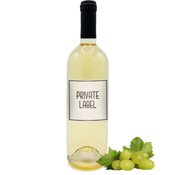 Vin blanc IGT Toscana - ÉTIQUETTE PRIVÉE personnalisée 2