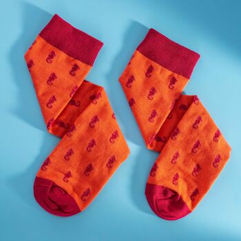 Chaussettes rouges en coton égyptien pour hommes avec des hippocampes dessus 1