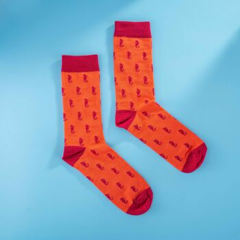 Chaussettes rouges en coton égyptien pour hommes avec des hippocampes dessus 4