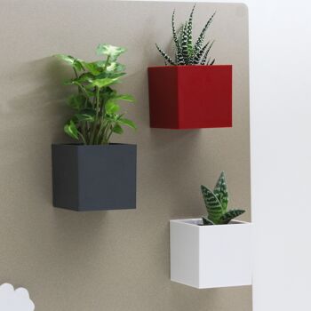 Ensemble de Cubes Magnétiques, 6,5 cm, Blanc/Gunmetal/Rouge, Petits Jardinières 2